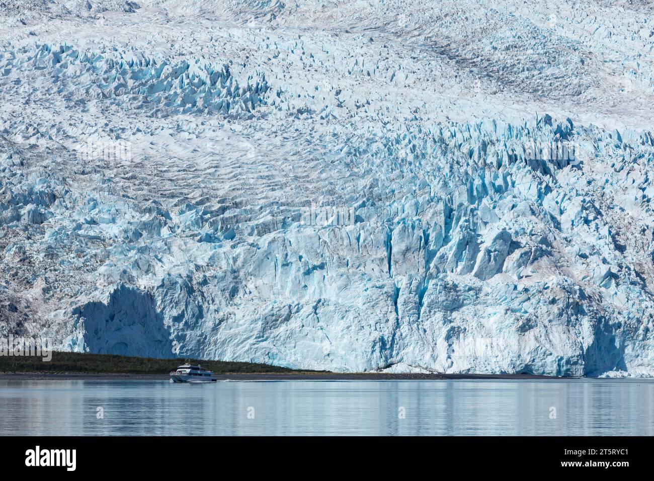 Il ghiaccio blu del ghiacciaio Aialik incontra le acque oceaniche del Golfo dell'Alaska Foto Stock