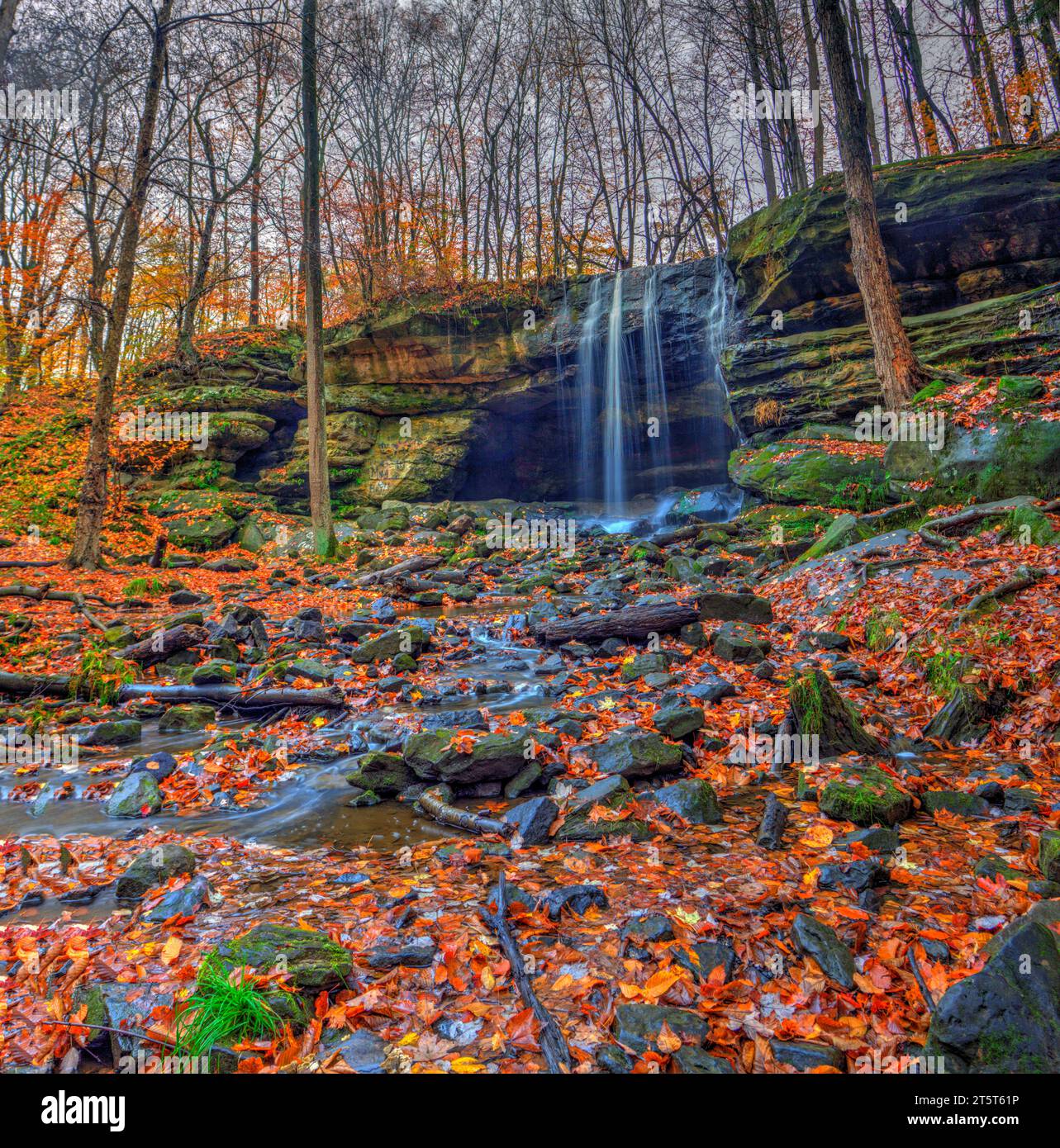 Vista delle Lower Dundee Falls in autunno, Beach City Wilderness area, Ohio Foto Stock