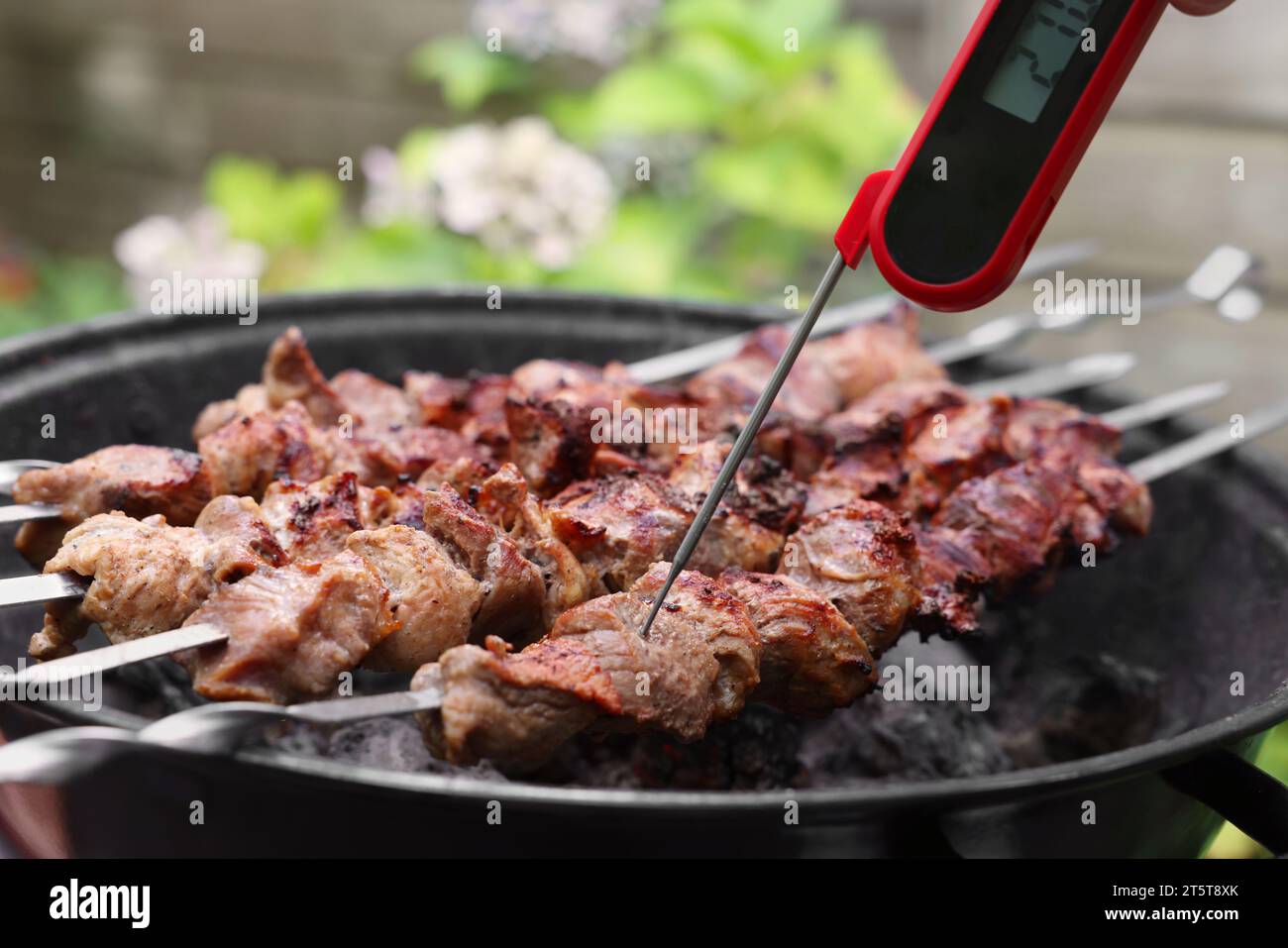 Uomo che misura la temperatura del delizioso kebab su braciere in metallo all'aperto, primo piano Foto Stock
