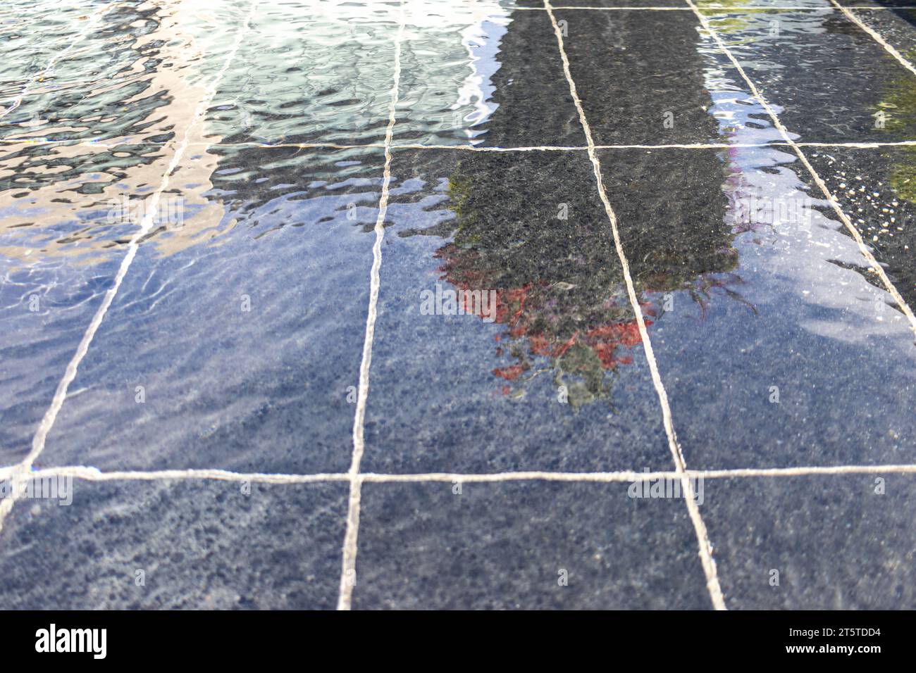 Superficie dell'acqua riflettente - ambiente urbano - fiori rosa - sfondo sfocato Foto Stock