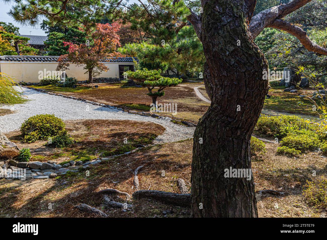Il giardino del tempio di Rokuo-in è quello di shakkei che incorpora le montagne dietro il giardino nel design del giardino Foto Stock