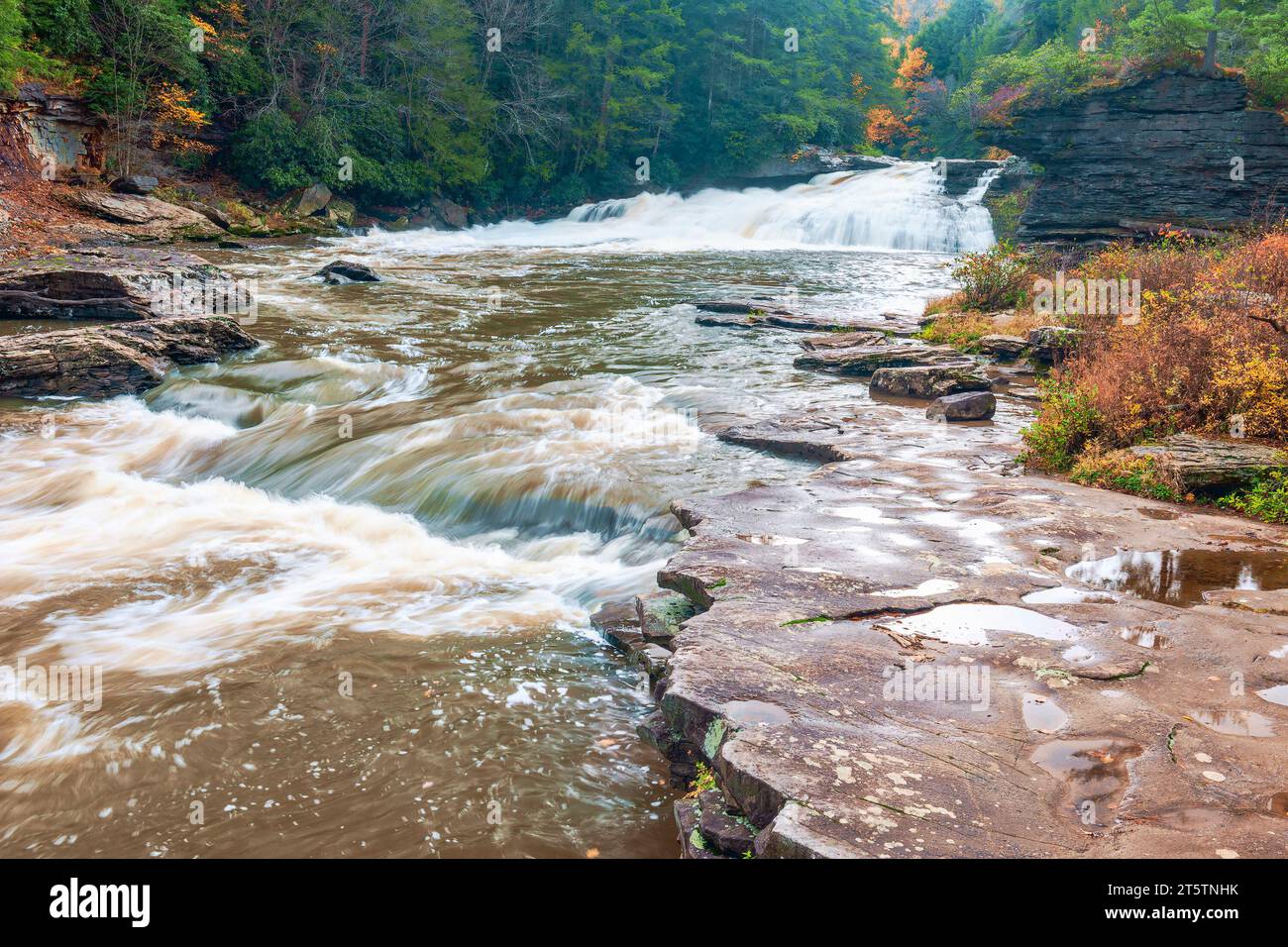 Upper Swallow Falls in un giorno di pioggia autunnale. Youghiogheny River. Swallow Falls State Park. Oakland. Maryland Foto Stock