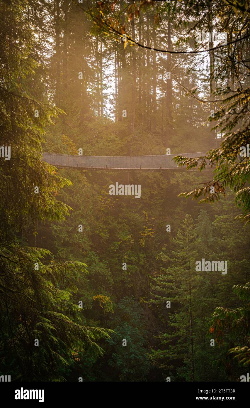 Ponte Sospeso di Capilano Park, North Vancouver, British Columbia, Canada Foto Stock