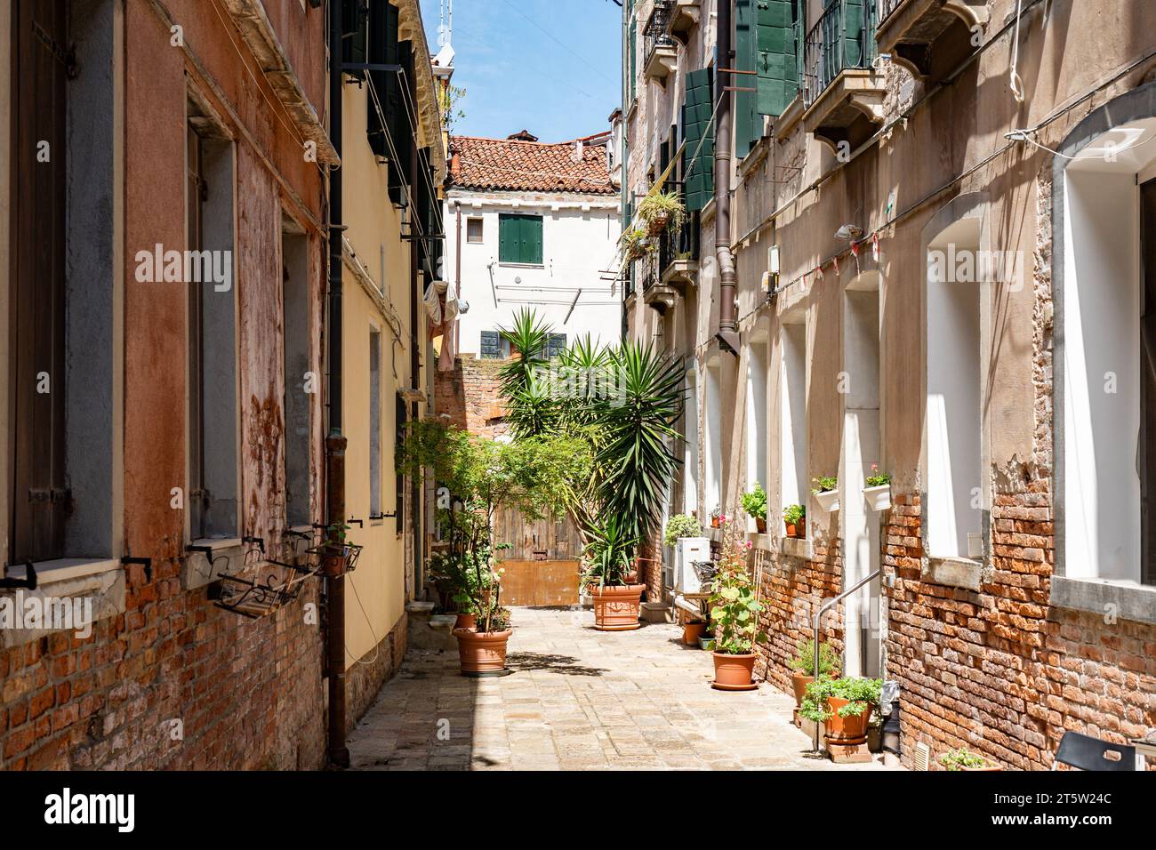 Edifici con piante in vaso a Venezia. Bella facciata con persiane. Marciapiede pavimentato Foto Stock