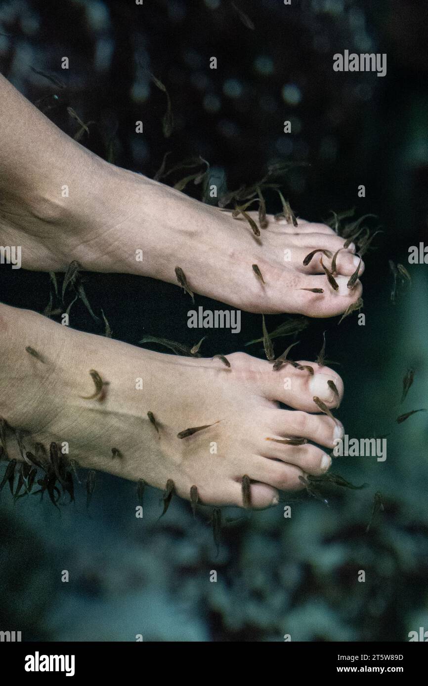 Vista ravvicinata dei bellissimi piedi in una pedicure di pesce ed esfoliazione nelle acque naturali Foto Stock