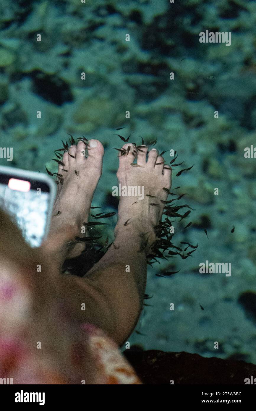 Vista ravvicinata dei bellissimi piedi in una pedicure di pesce ed esfoliazione nelle acque naturali Foto Stock
