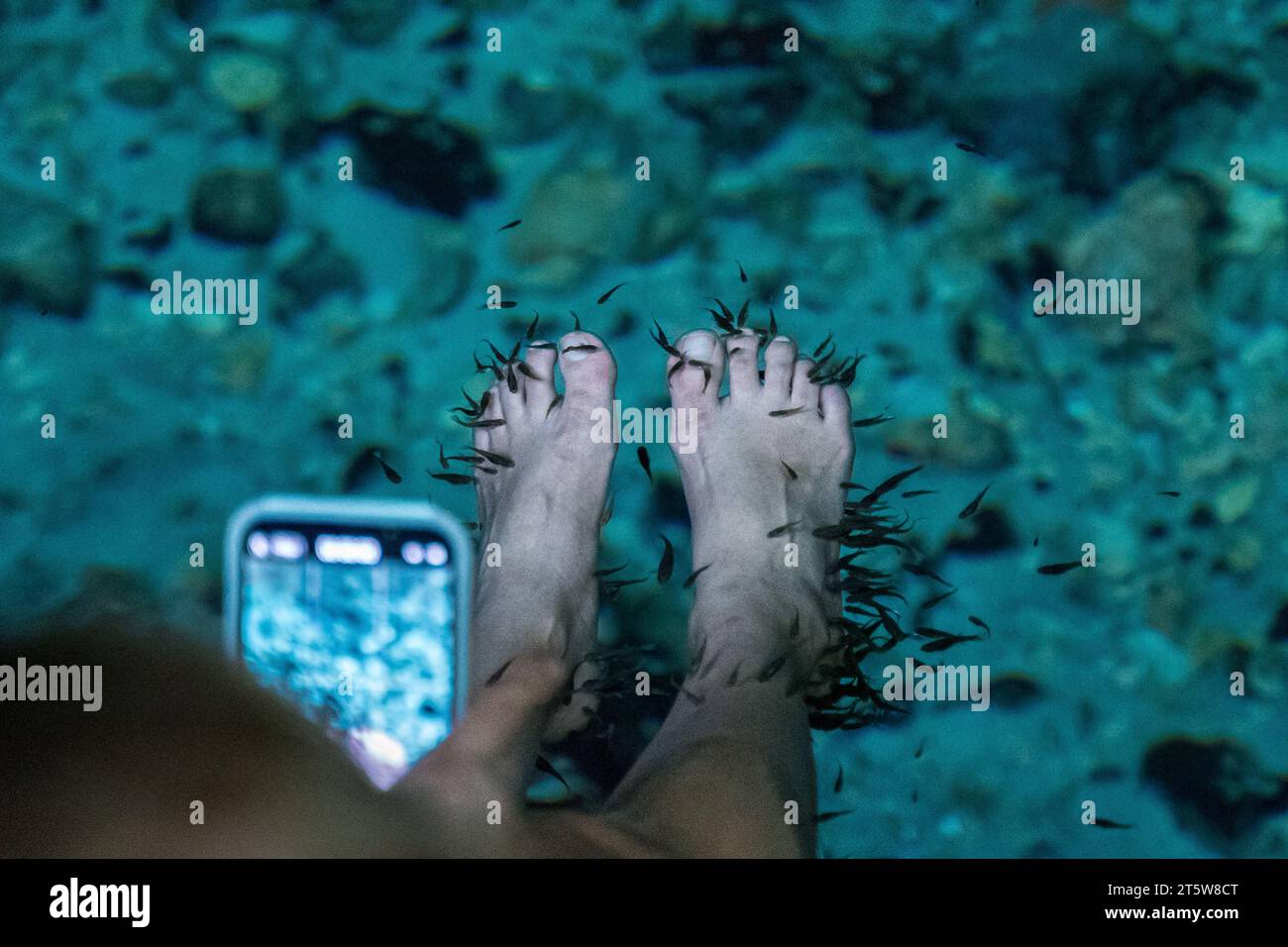Vista ravvicinata dei bellissimi piedi in una pedicure di pesce ed esfoliazione nelle acque naturali Foto Stock
