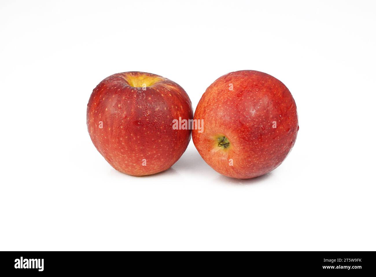 Due mele rosse fresche con gocce d'acqua su sfondo bianco Foto Stock