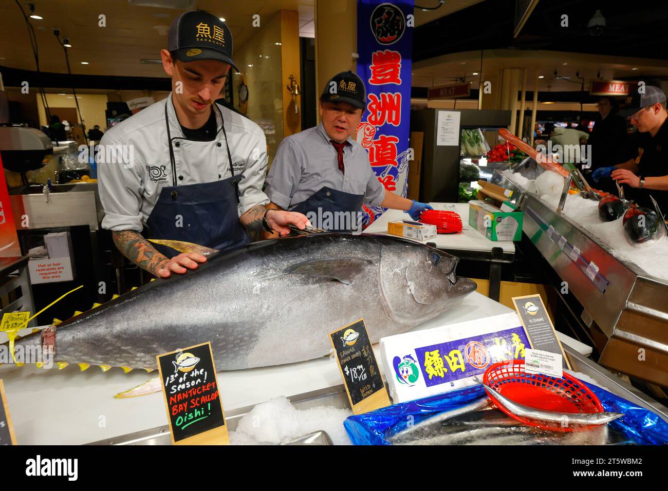 5 novembre 2023, New York. Un pescivendolo e un esperto pescivendolo giapponese espongono un piccolo hon maguro di tonno rosso dell'Atlantico MSC (Thunnus thynnus) catturato selvatico da 100 lb/45 kg al mercato ittico di Sakanaya all'interno di Wegmans Astor Place. Il banco di pesce presenta pesce fresco e frutti di mare, e pesce giapponese importato dal mercato del pesce Toyosu di Tokyo. Foto Stock