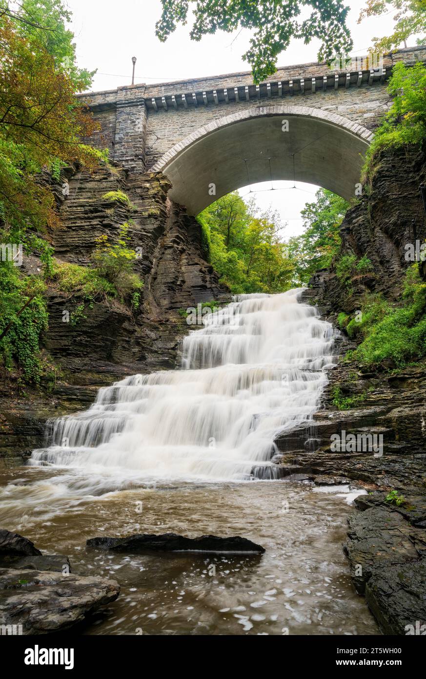 Il sentiero della gola di Cascadilla a Ithaca, New York Foto Stock