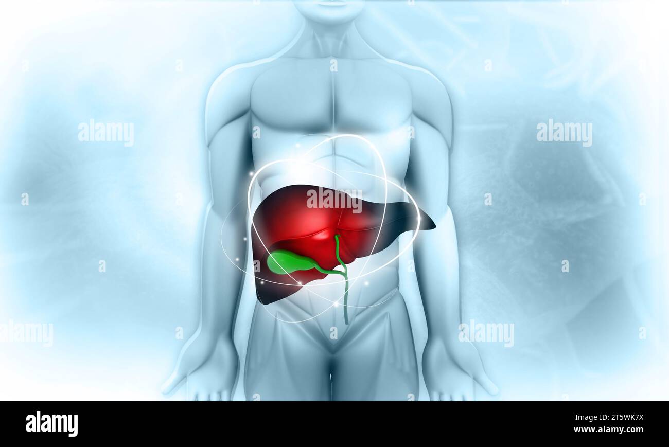 Corpo umano con fegato. illustrazione 3d. Foto Stock