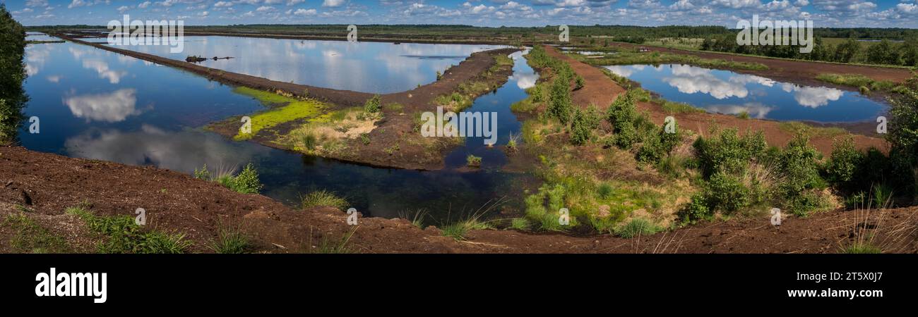 Quickborn, Schleswig-Holstein, Germania - 22 giugno 2019: Vista sull'Himmelmoor su una ex zona di estrazione della torba riirrigata Foto Stock