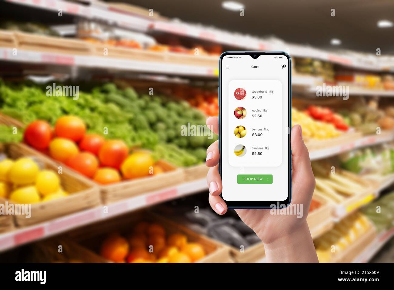 Smartphone utilizzato in un negozio di alimentari che mostra articoli acquistati e prezzi. App per lo shopping efficiente per tenere traccia di generi alimentari e spese Foto Stock
