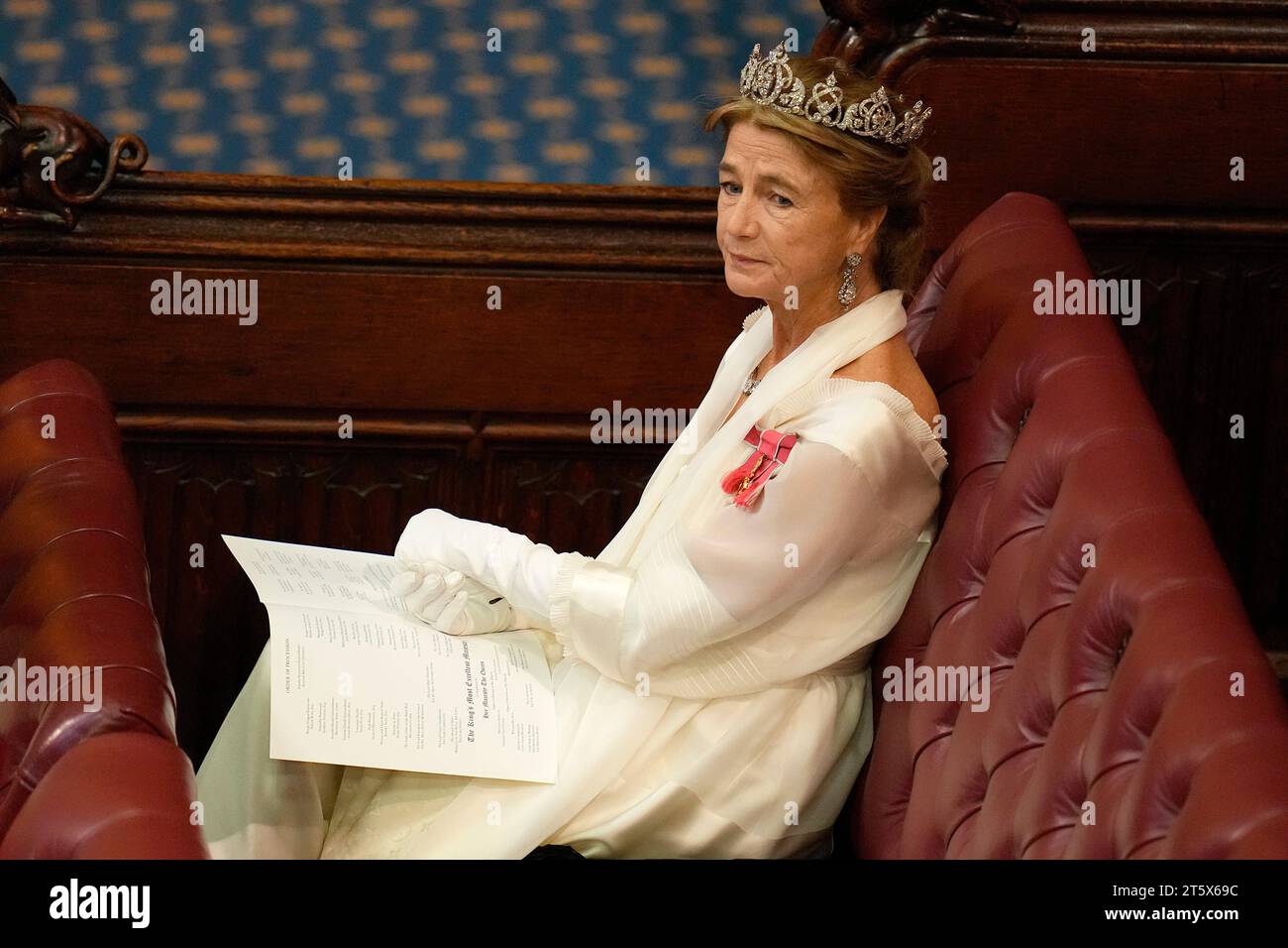 La principessa Antonia, duchessa di Wellington attende l'inizio dell'apertura statale del Parlamento, nella camera dei lord al Palazzo di Westminster a Londra. Data immagine: Martedì 7 novembre 2023. Foto Stock
