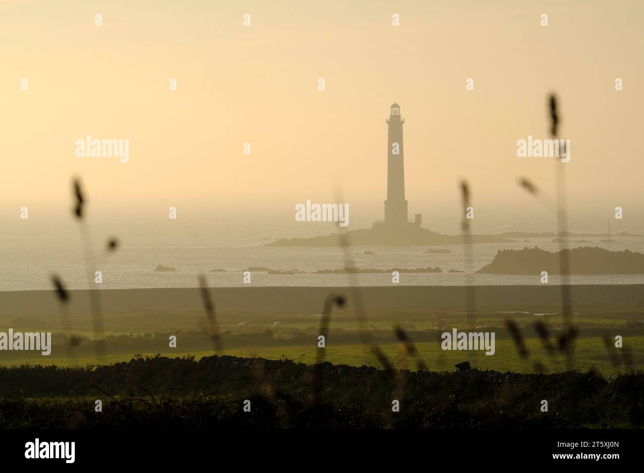 Frankreich, la Hague, 03.09.2023: Der Leuchtturm von Goury am Abend am Cap de la Hague vor der Halbinsel Cotentin an der franzoesischen Kanalkueste im Foto Stock