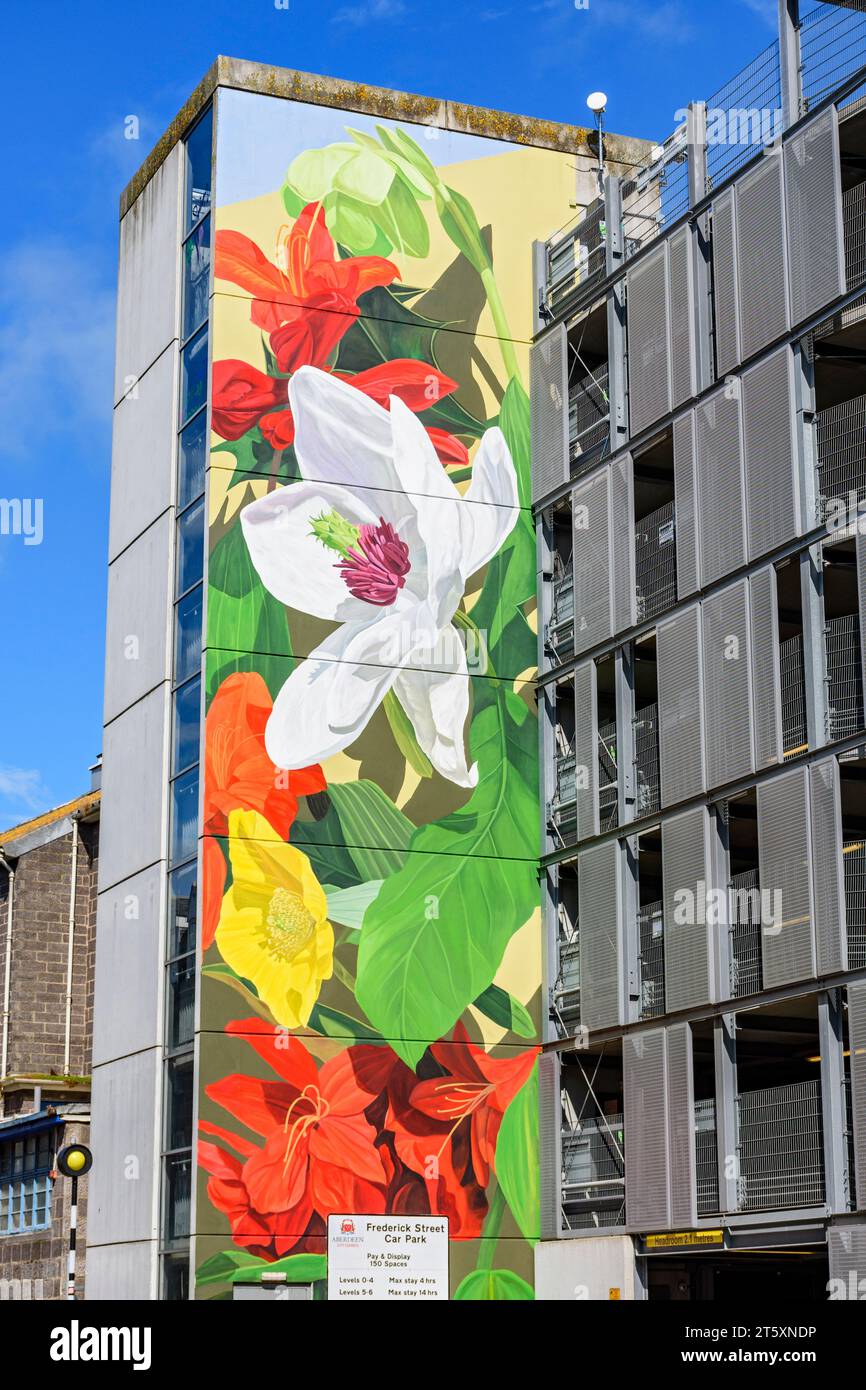 Murale di fiori di Thiago Mazza su un parcheggio multipiano, Frederik Street, Aberdeen, Scozia, Regno Unito Foto Stock