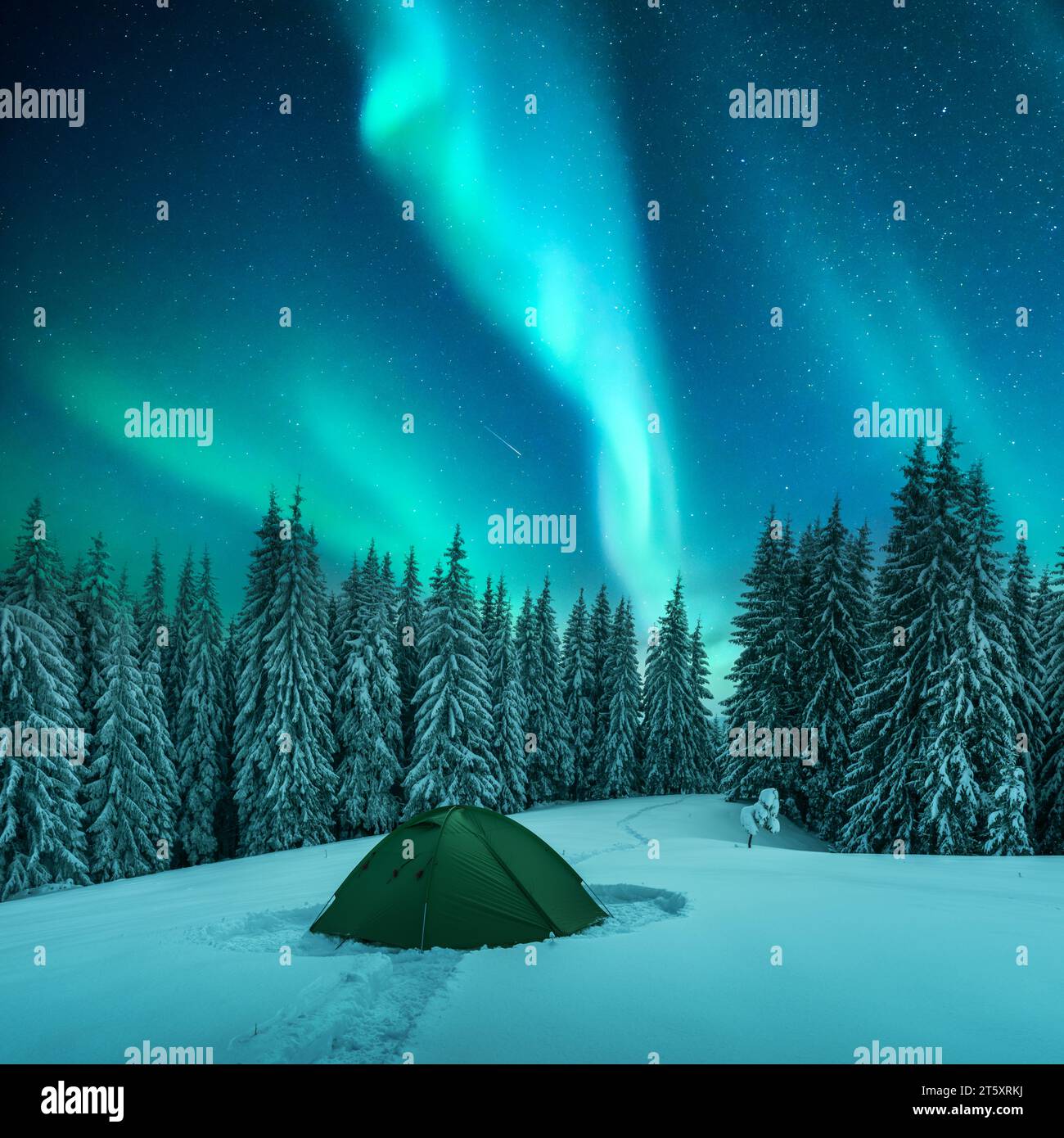 Tenda verde e abeti innevati in una radura invernale tra le montagne sullo sfondo di un incredibile cielo stellato con l'aurora boreale. L'aurora boreale nel cielo notturno Foto Stock