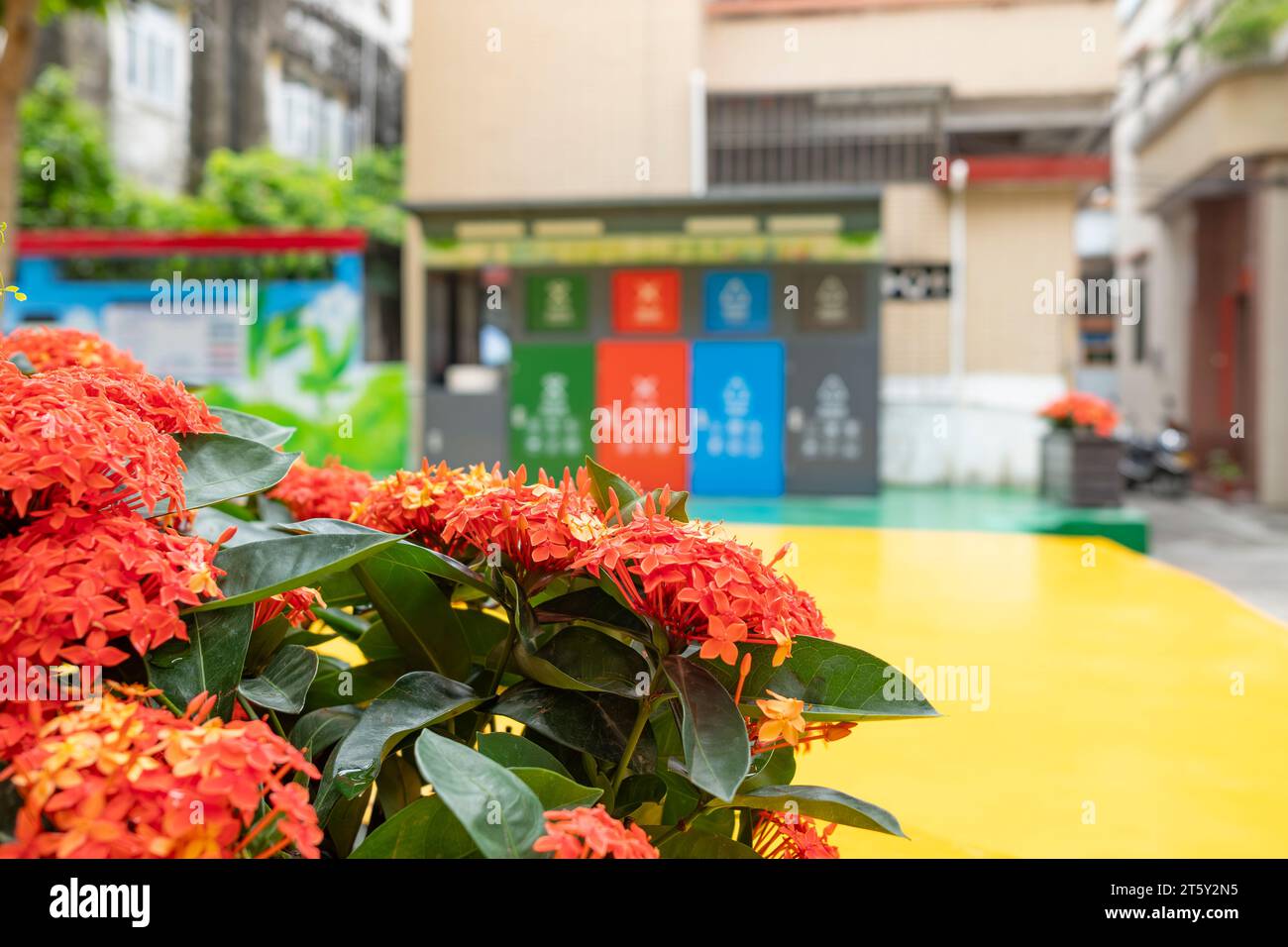 giardino con fiori e bidoni per la raccolta rifiuti di diversi colori Foto Stock