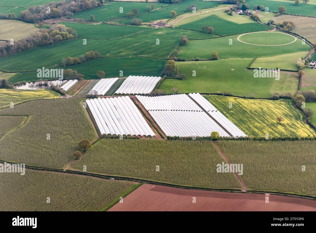 Una vista aerea della coltivazione intensiva di fragole utilizzando tunnel polari, Herefordshire, Regno Unito Foto Stock