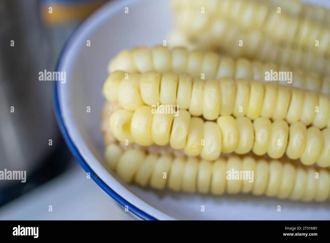 Pannocchie di mais chiamate choclo, ingrediente molto popolare nelle ricette dell'America Latina Foto Stock