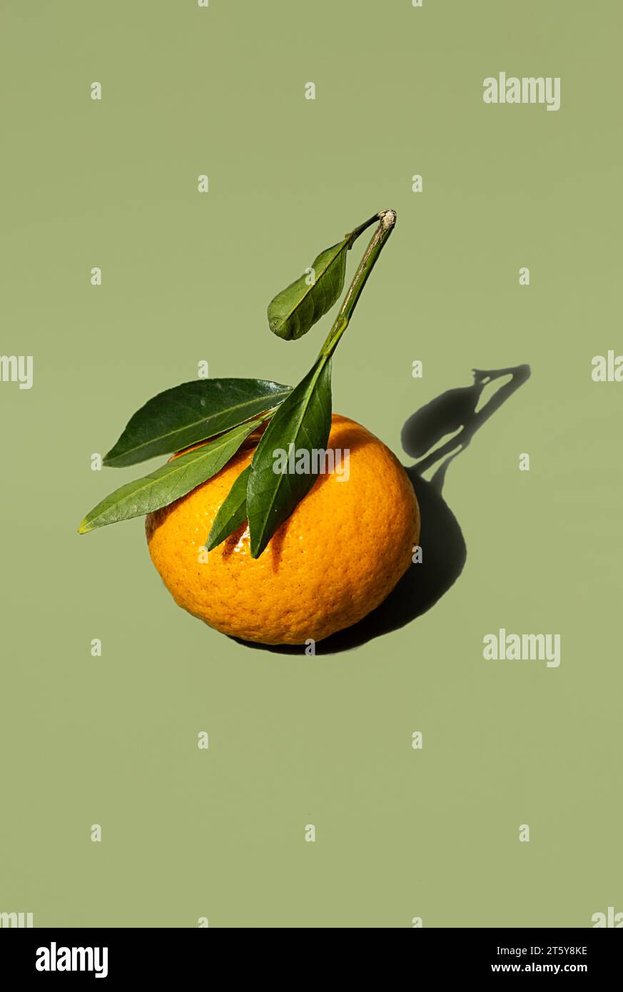 Un mandarino arancione con foglie in luce dura. Agrumi con ombra. Foto Stock