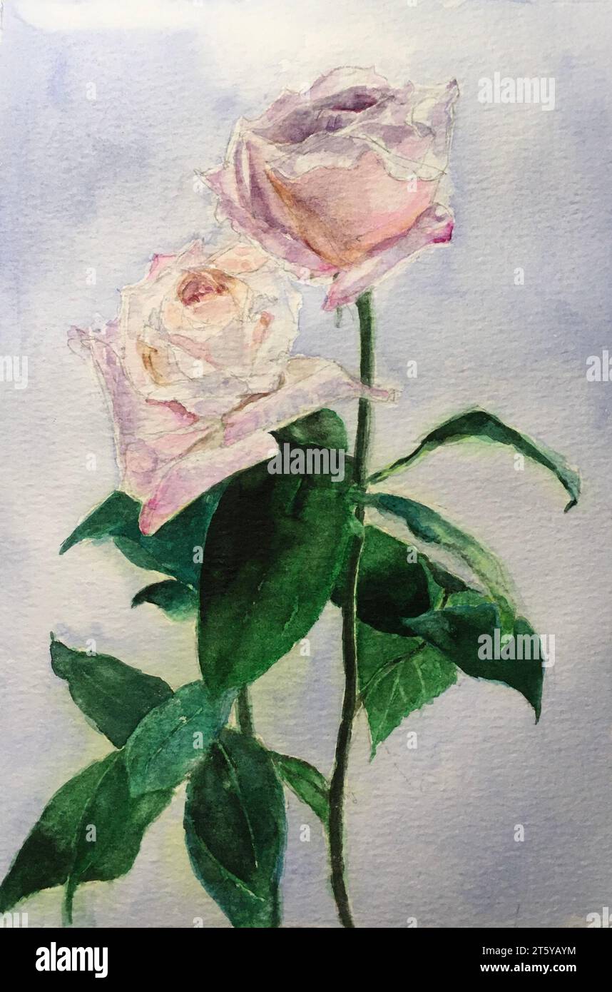 Pittura ad acquerello di fiori. Acquerello su carta. Dipinto a mano. Foto Stock