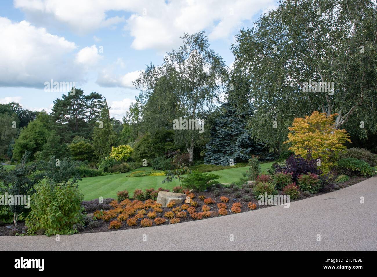 Piante di fogliame RHS Harlow Carr Foto Stock