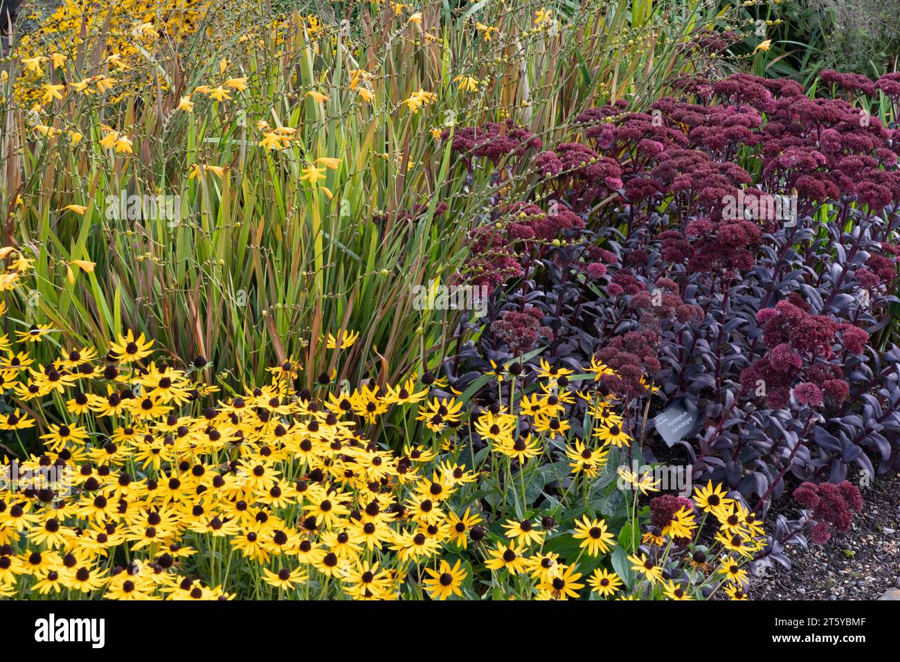 Impianto misto a Harlow Carr. Lato destro Foto Stock