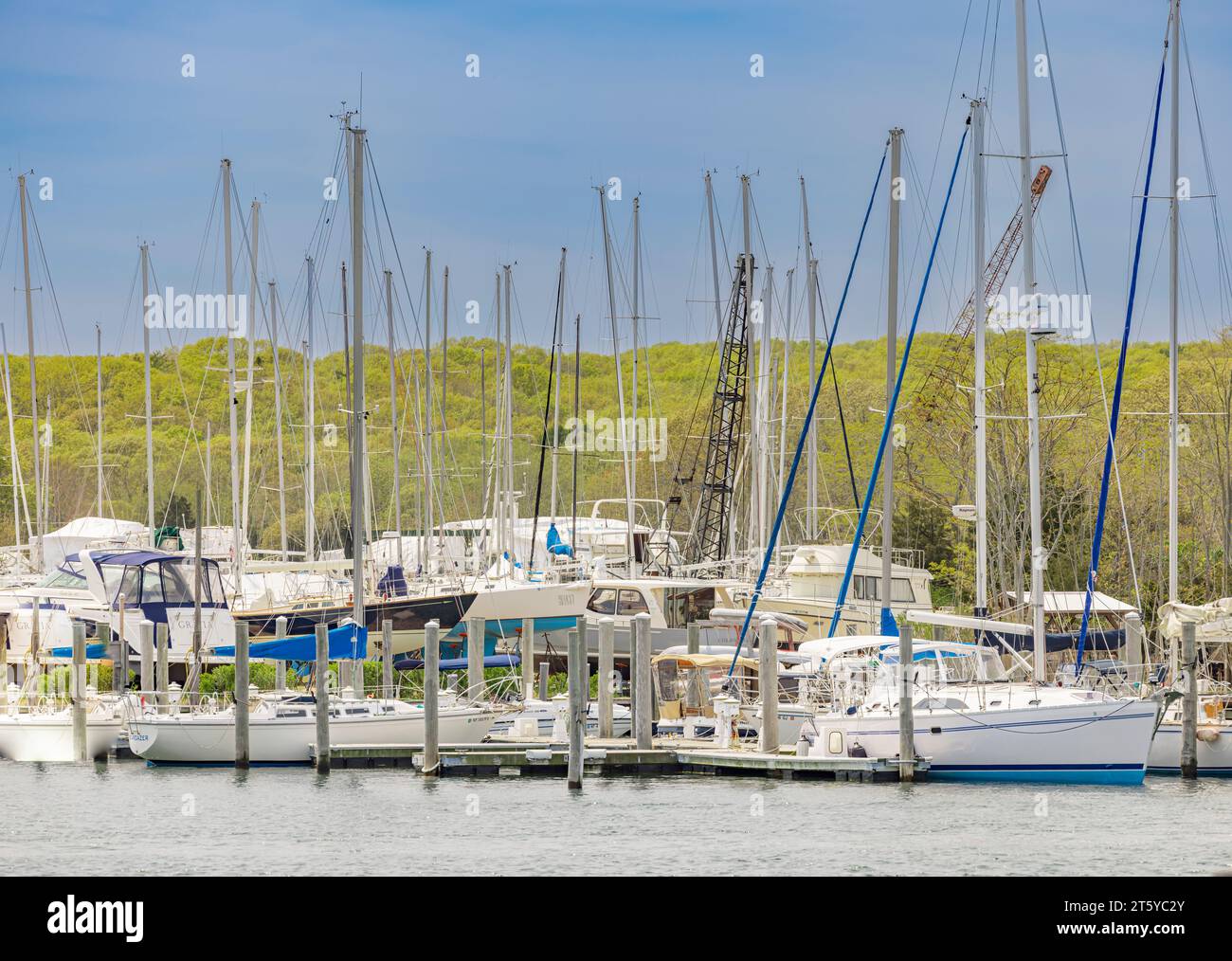 un porticciolo completo nel porto di cinque miglia Foto Stock