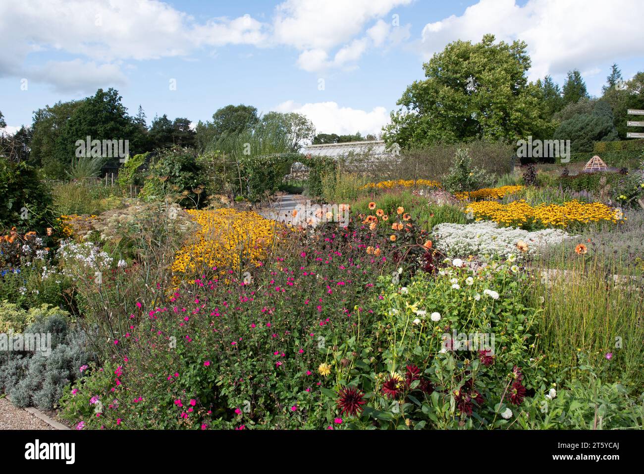 Piantagione di confine misto a RHS Harlow Carr Foto Stock