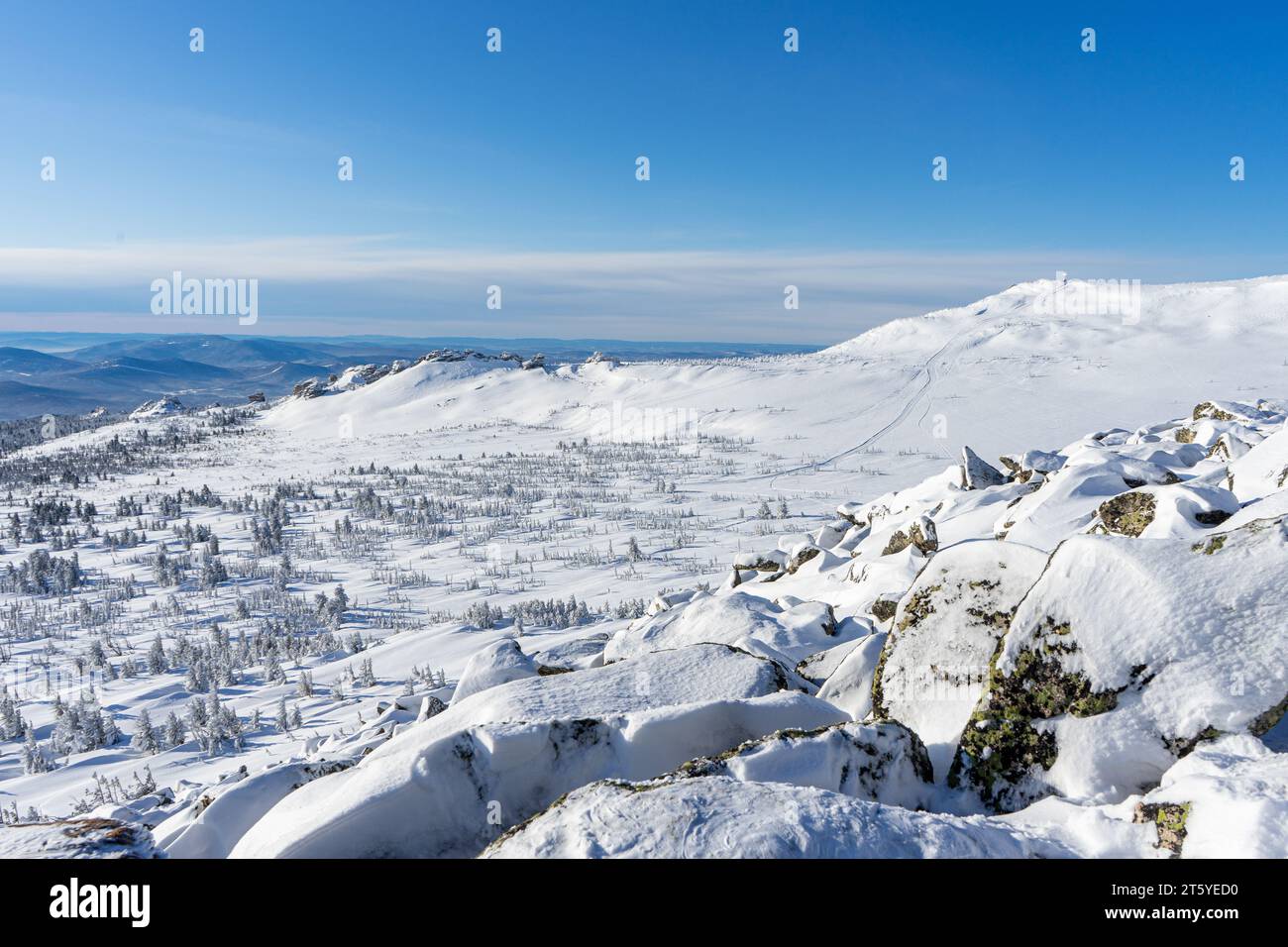 Pietre e fitte foreste di conifere, valle invernale innevata in montagna. Paesaggio naturale presso la stazione sciistica di Sheregesh. Foto di alta qualità per desktop Foto Stock