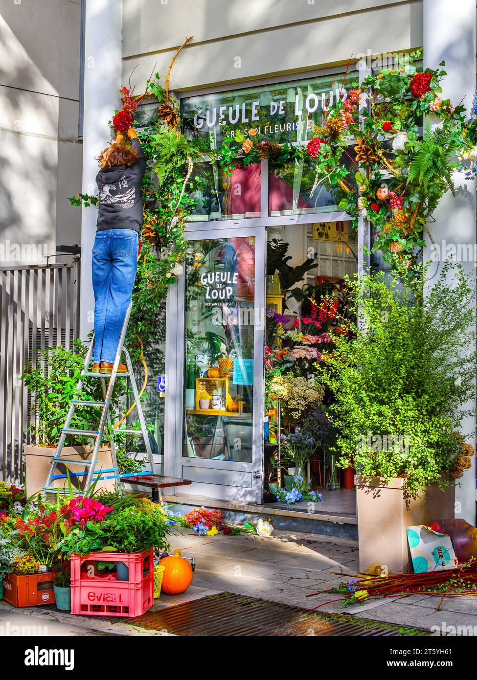 Donna sulla scala a pioli che organizza un'esposizione floreale di fronte al negozio di fioristi - Belleville, Paris 20, Francia. Foto Stock