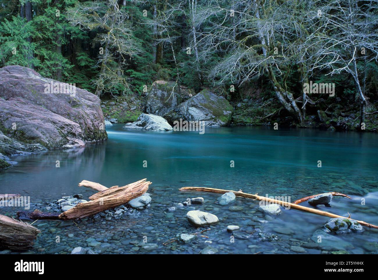 North Fork Skokomish River, il Parco Nazionale di Olympic, Washington Foto Stock