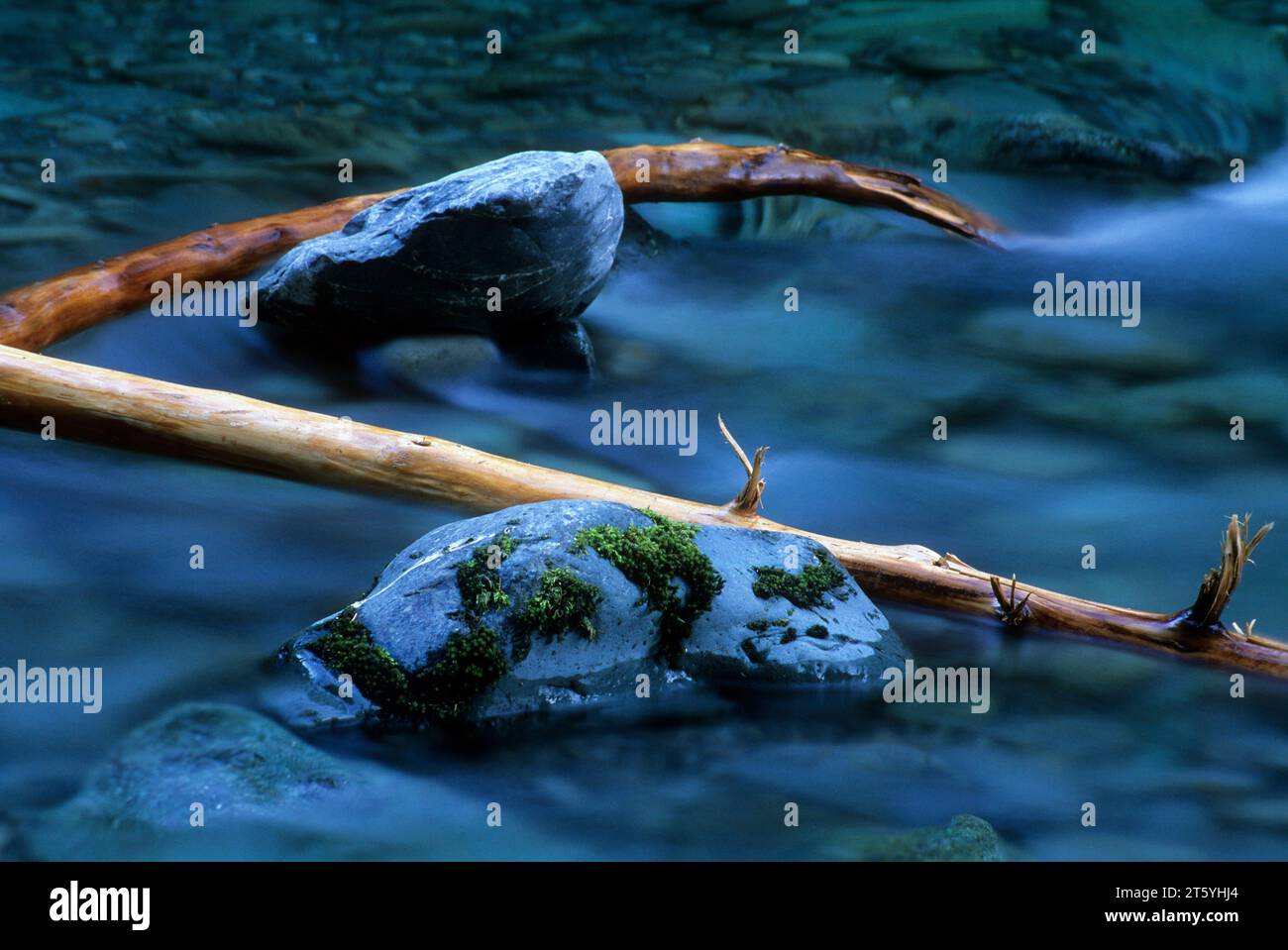 North Fork Skokomish River, il Parco Nazionale di Olympic, Washington Foto Stock