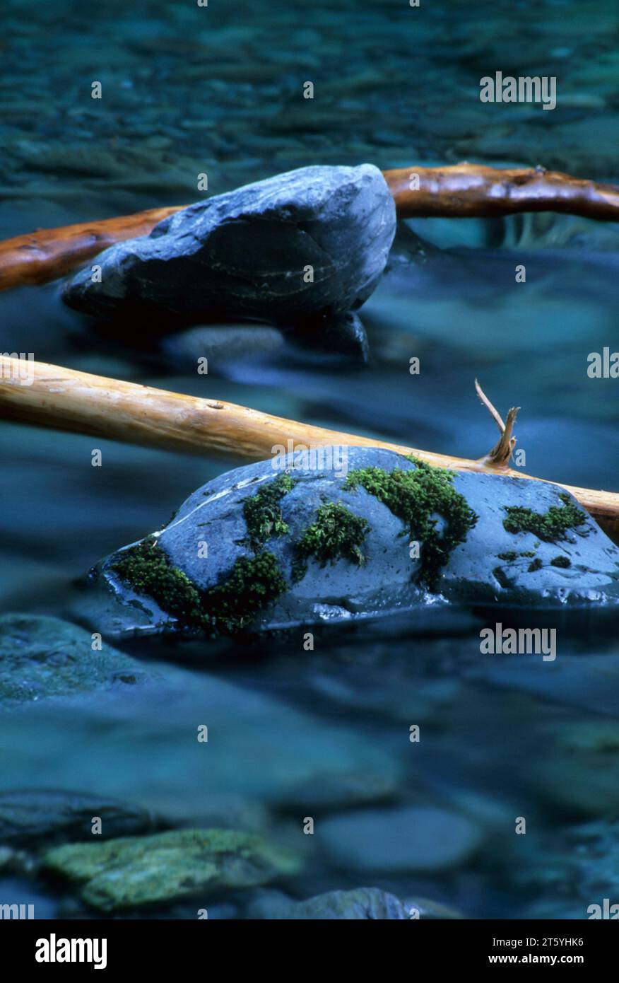North Fork Skokomish River, il Parco Nazionale di Olympic, Washington Foto Stock
