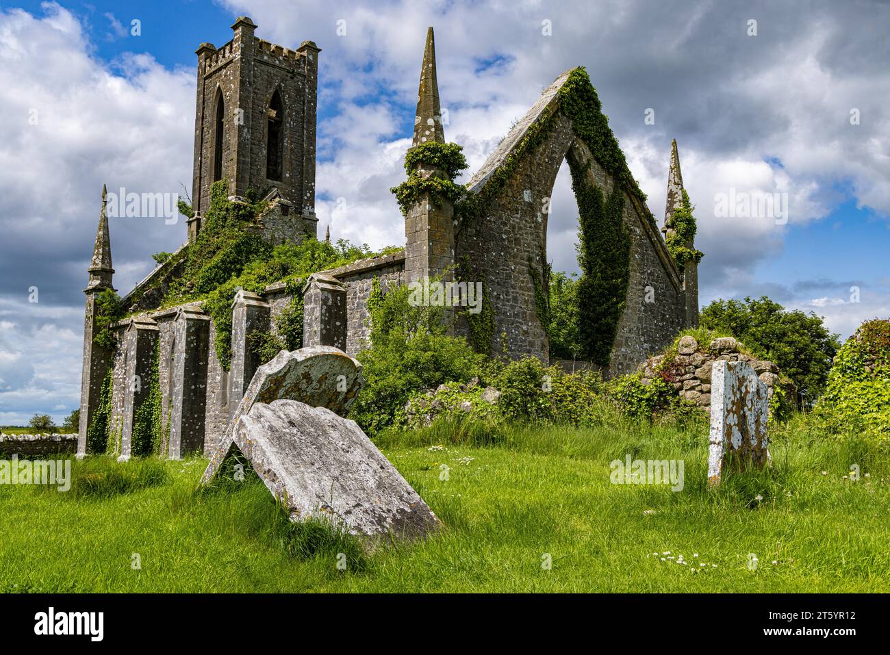 Ballynafagh Church Ruin, County Kildare, Irlanda Foto Stock