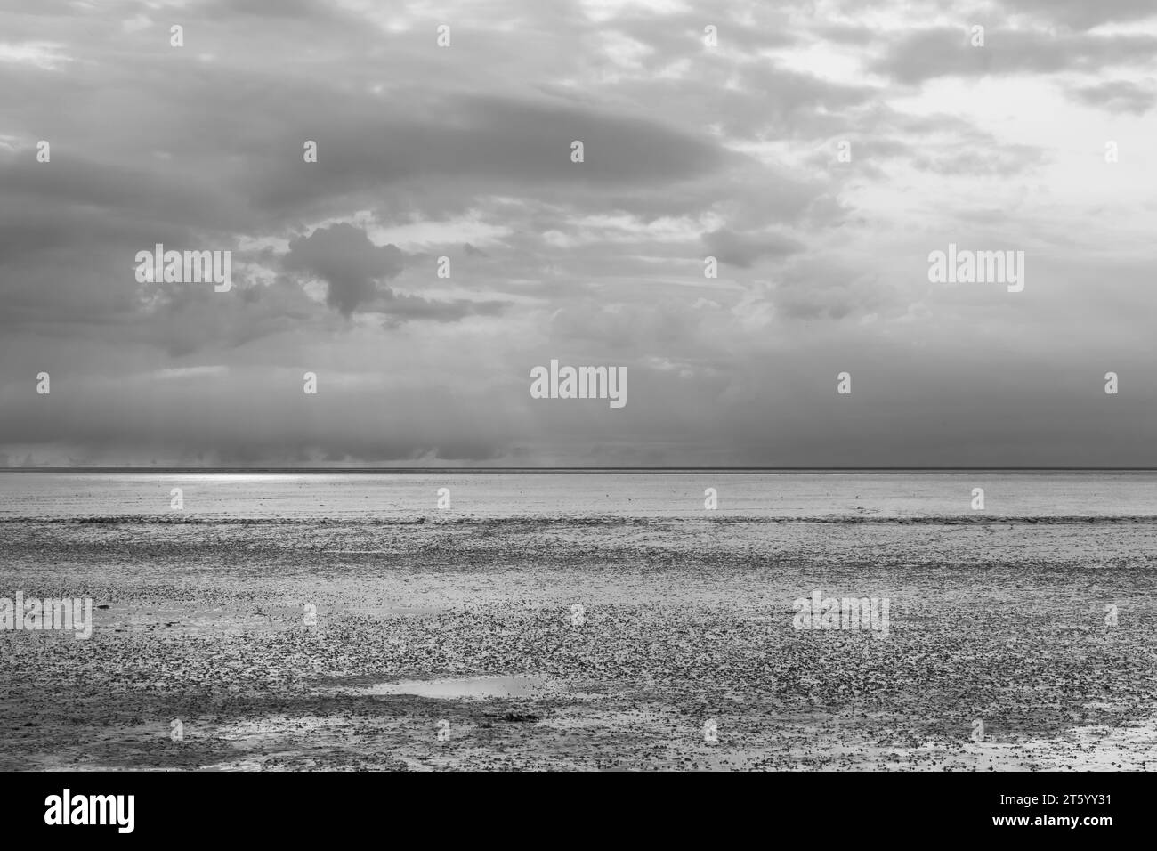 Bassa marea nel Parco Nazionale del Mare di Wadden, atmosfera serale, Norddeich, Norden, Frisia orientale, bassa Sassonia, Germania Foto Stock