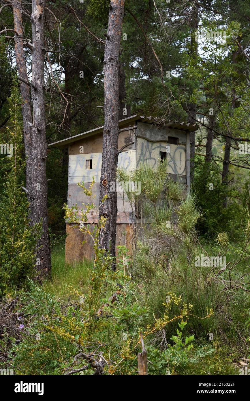 Un cieco di caccia in legno nascosto, nascosto o mimetico, rifugio cacciatore, nascondiglio di tiro, recinzione o Machan nella foresta francese Foto Stock