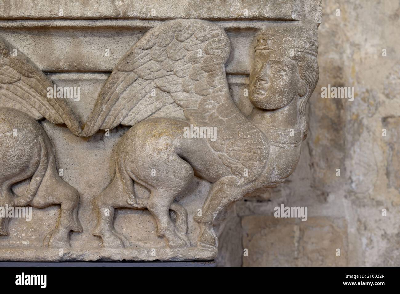 Creatura mitica della capitale scolpita in pietra metà donna metà bestia o femmina con ali e Chiostri del corpo bovino o asino Chiesa di Saint Trophime Arles Francia Foto Stock