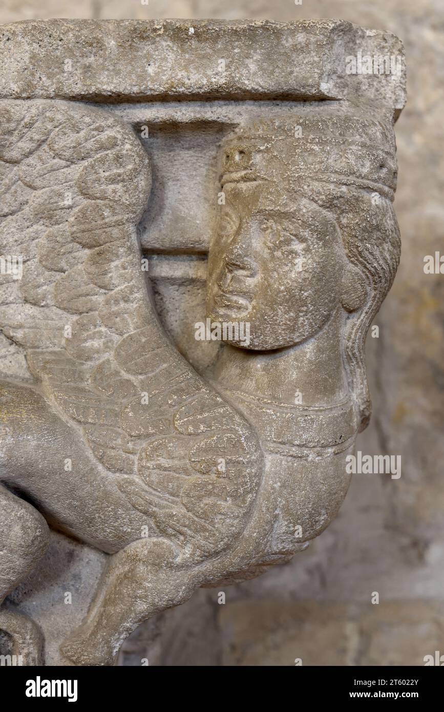 Creatura mitica della capitale scolpita in pietra metà donna metà bestia o femmina con ali e Chiostri del corpo bovino o asino Chiesa di Saint Trophime Arles Francia Foto Stock