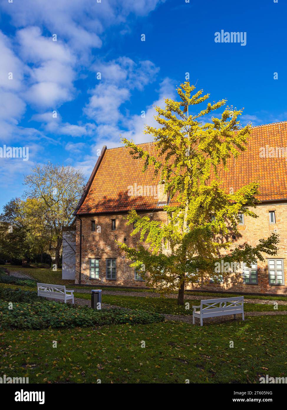 Costruzione del monastero Kloster zum Heiligen Kreuz nella città anseatica di Rostock, Germania. Foto Stock