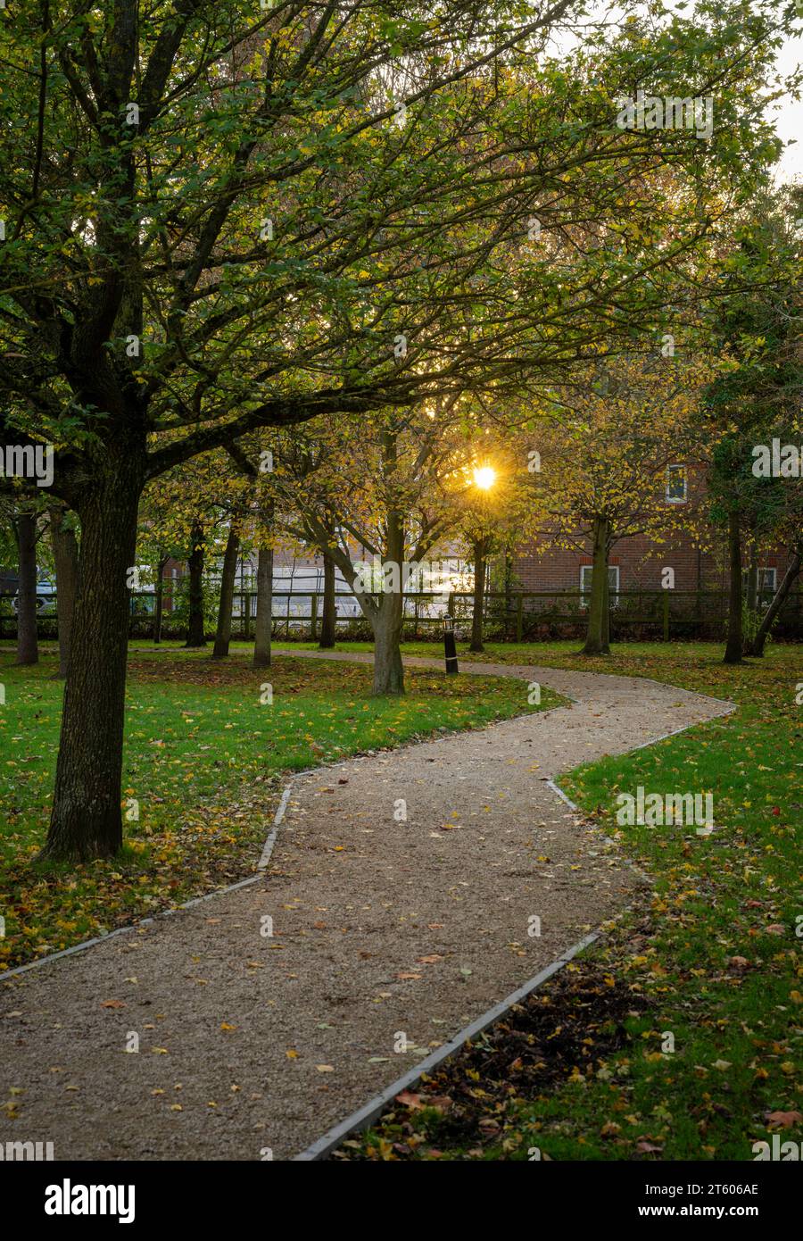 Scena autunnale in Inghilterra con un sentiero che conduce attraverso un parco alberato. Il sole che tramonta è visibile attraverso le foglie. Foto Stock