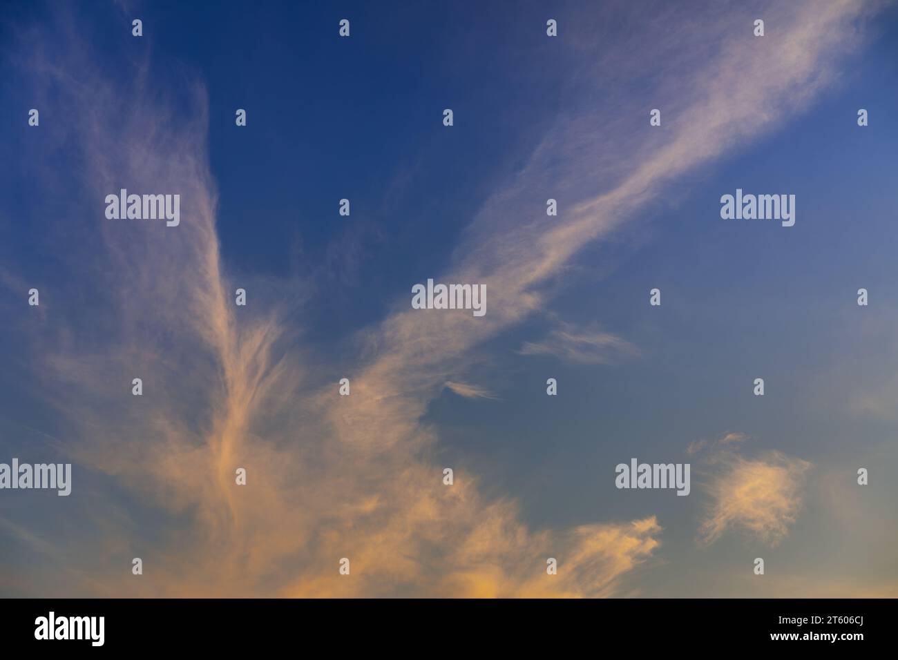 Paesaggio nuvoloso serale. Nuvole di cirrus bianche di alto livello con sfumatura arancione su un cielo blu. Orientamento orizzontale. Foto Stock