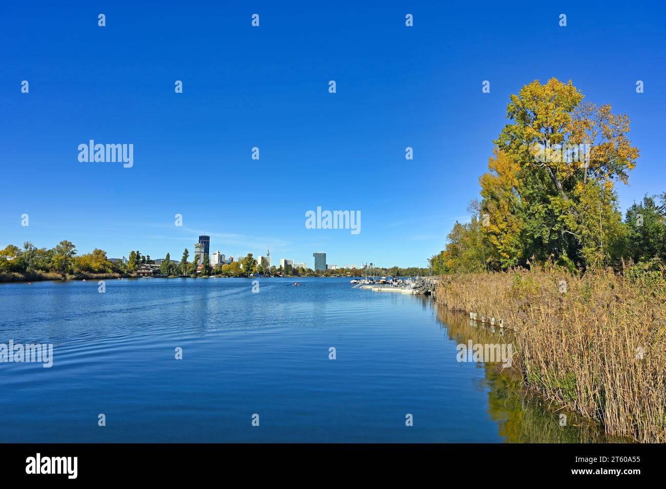 Vienna e lo skyline del fiume Donau, stagione autunnale Foto Stock