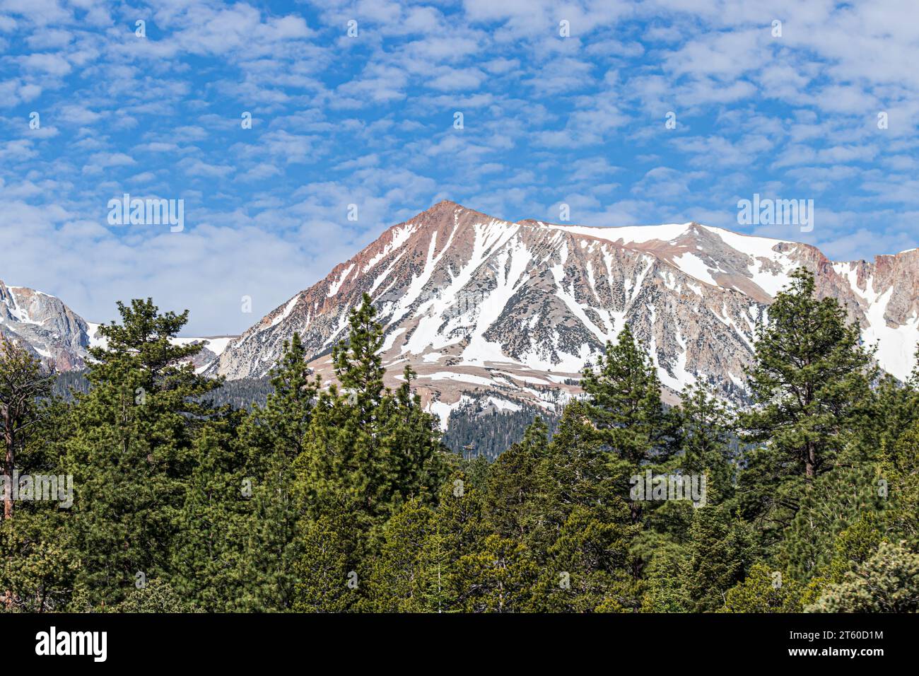 montagna innevata con alberi cielo blu e nuvole bianche Foto Stock