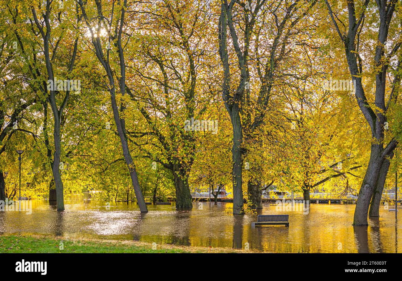 Un fiume ha scoppiato le sue rive e allagato attraverso un parco. Alberi autunnali e un lampione sono bloccati nell'acqua e una panca è parzialmente sommersa. Foto Stock