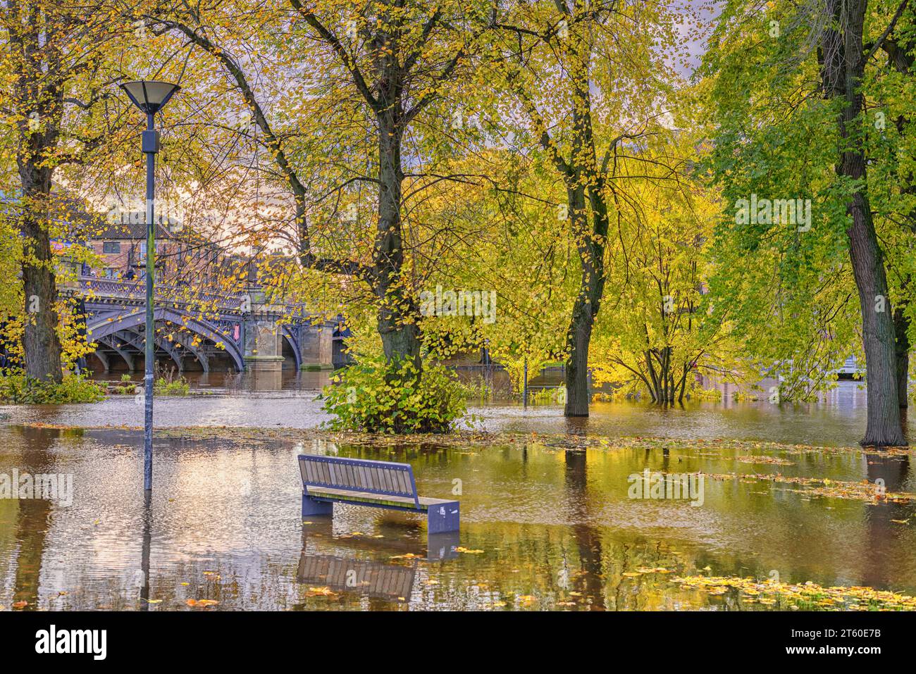 Un fiume ha scoppiato le sue rive e allagato attraverso un parco. Alberi autunnali e un lampione sono bloccati nell'acqua e una panca è parzialmente sommersa. Foto Stock