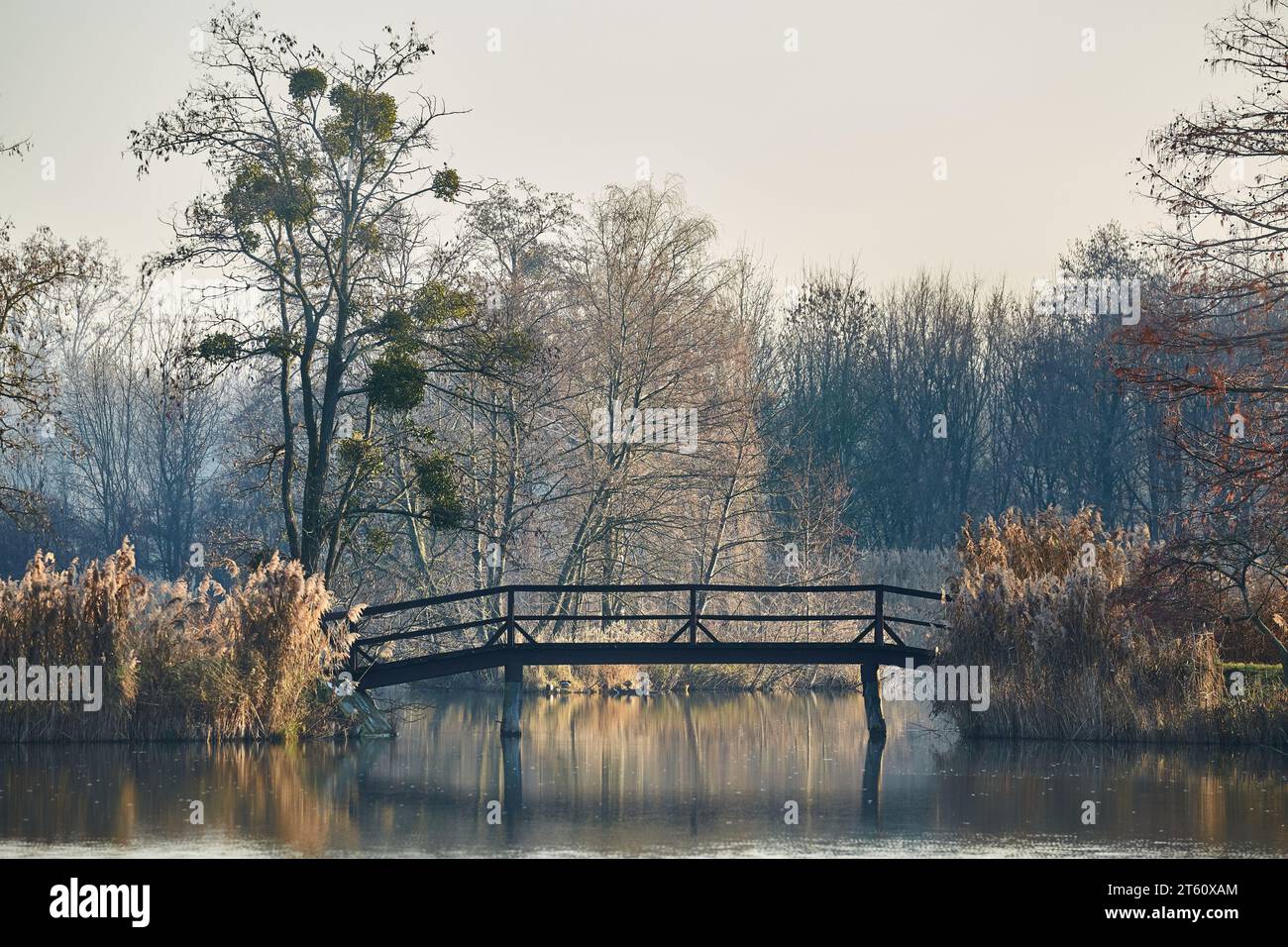 Superficie d'acqua con alberi e ponte nel parco Foto Stock