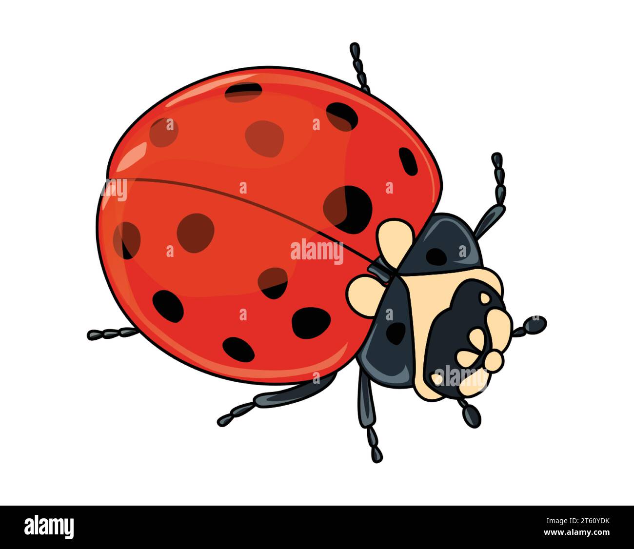 Una coccinella con un corpo marrone due antenne sei zampe e ali di colore rosso nero ha pois vettore di disegno a colori o illustrazione Illustrazione Vettoriale