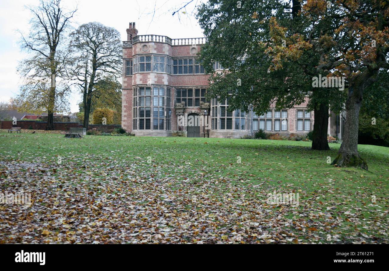 Il suo autunno e un tappeto di foglie copre il terreno di Astley Park, Chorley, Lancashire, Regno Unito, Europa Foto Stock